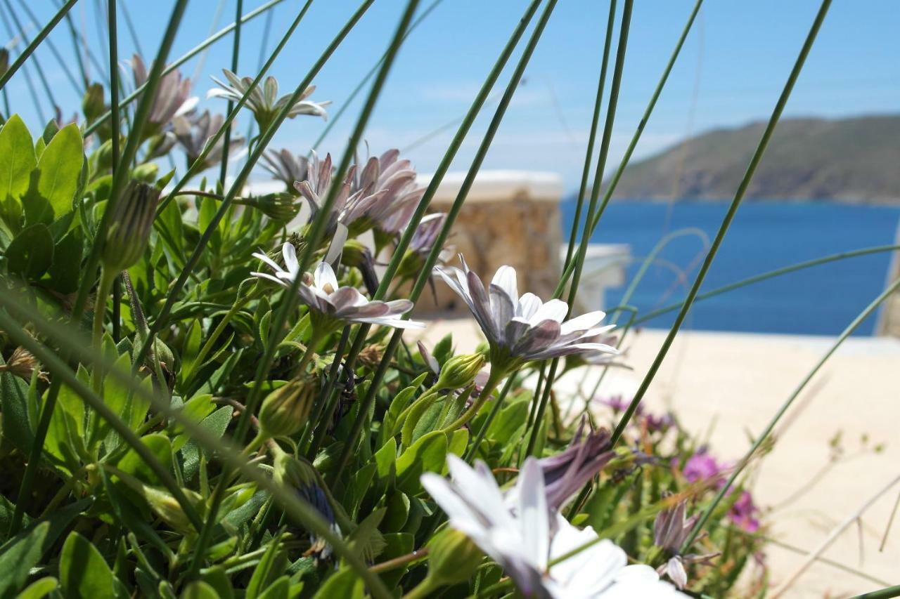 Mykonos Pantheon 4* Kalo Livadi